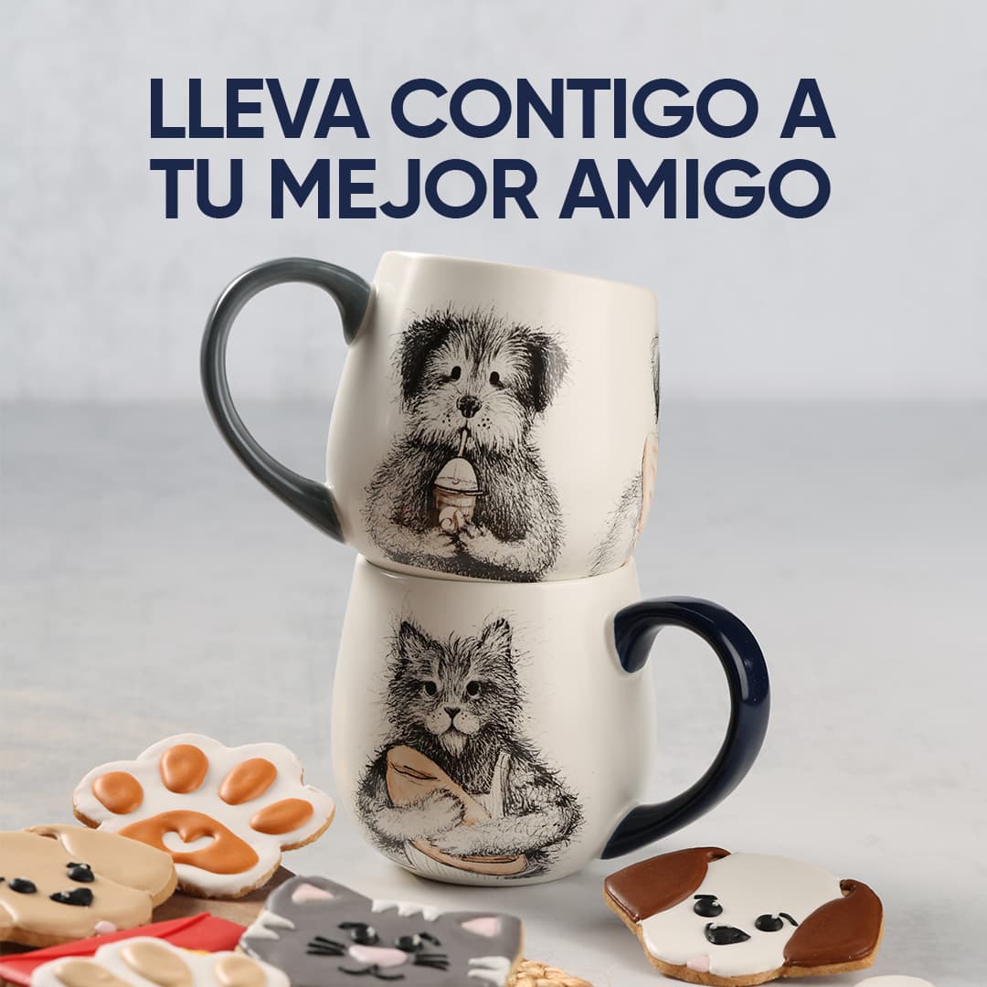 WEB-TAZAS-01