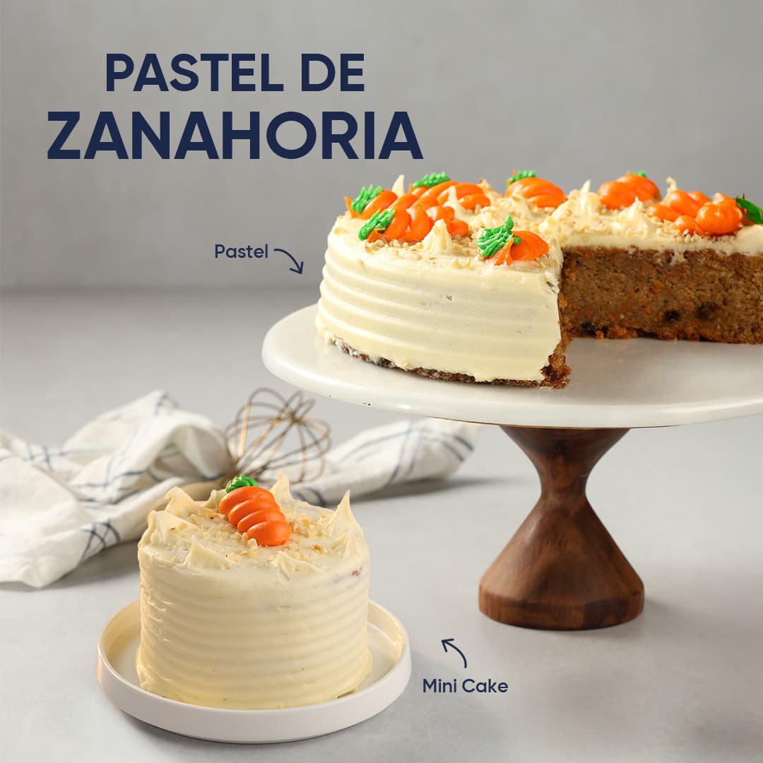 WEB-ZANAHORIA-01